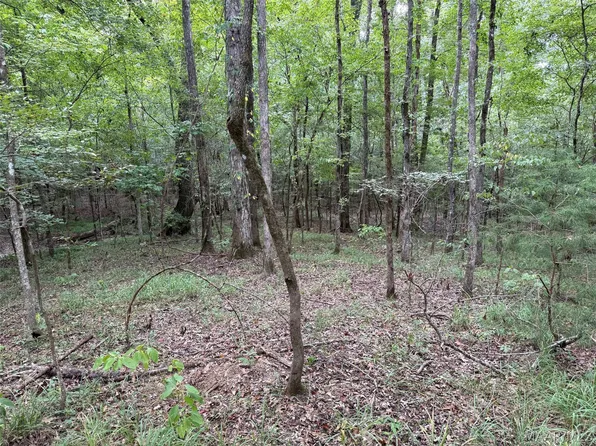 0 County Road 199, Troy, AL 36081