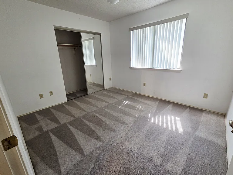 7408 Forest Strm — Photo 11