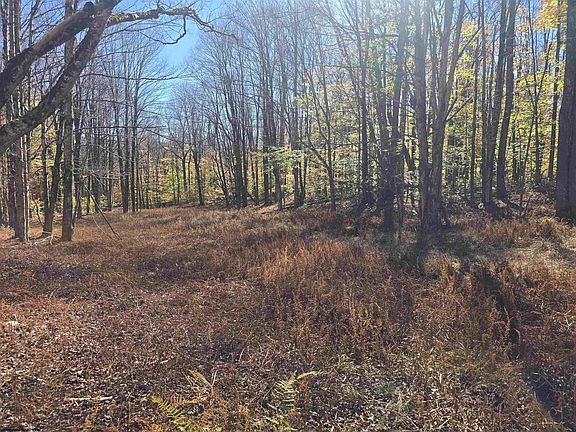 5th image of LOT 53 Bobcat Rd