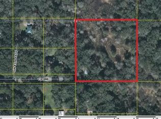 4250 County Road 690, Webster, FL 33597