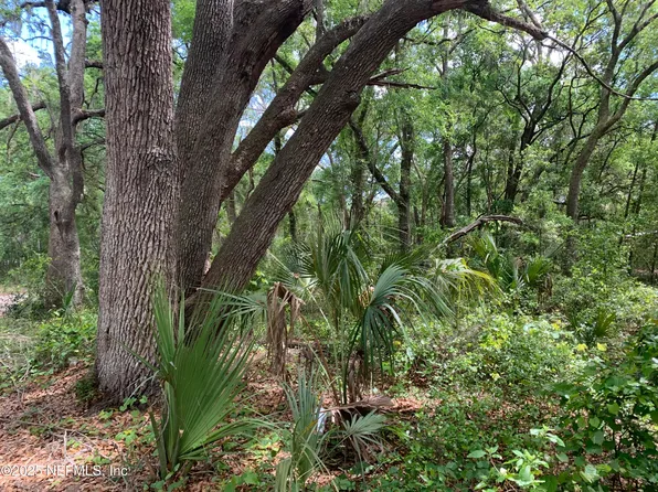 157 OAK Circle, Interlachen, FL 32148