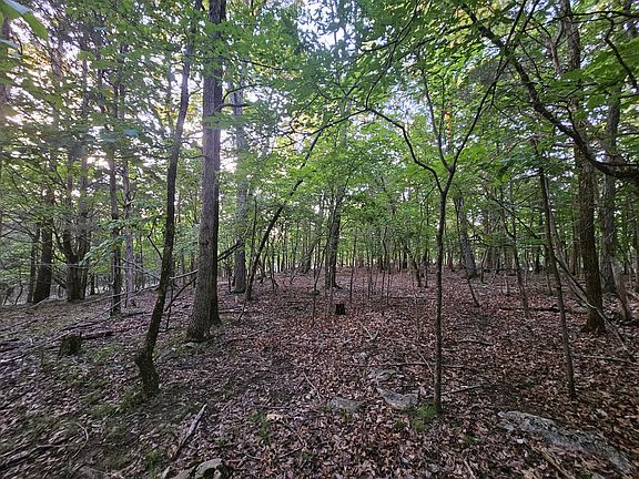 5th image of 3 Sewanee Summit Rd Lot 2 & 3
