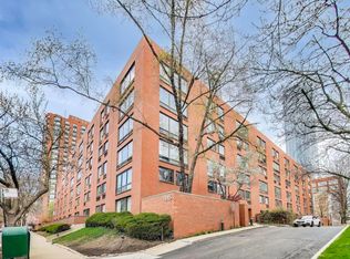 1115 S Plymouth Ct APT 107, Chicago, IL 60605