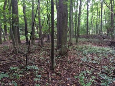 Fair Rd Lot 3, Strongsville, OH, 44149
