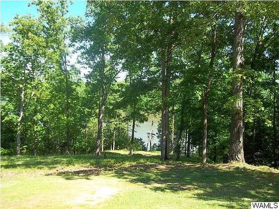 5th image of 14885 Brown Dr