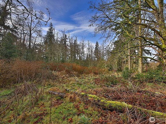 3rd image of 0 Goss Lake Road