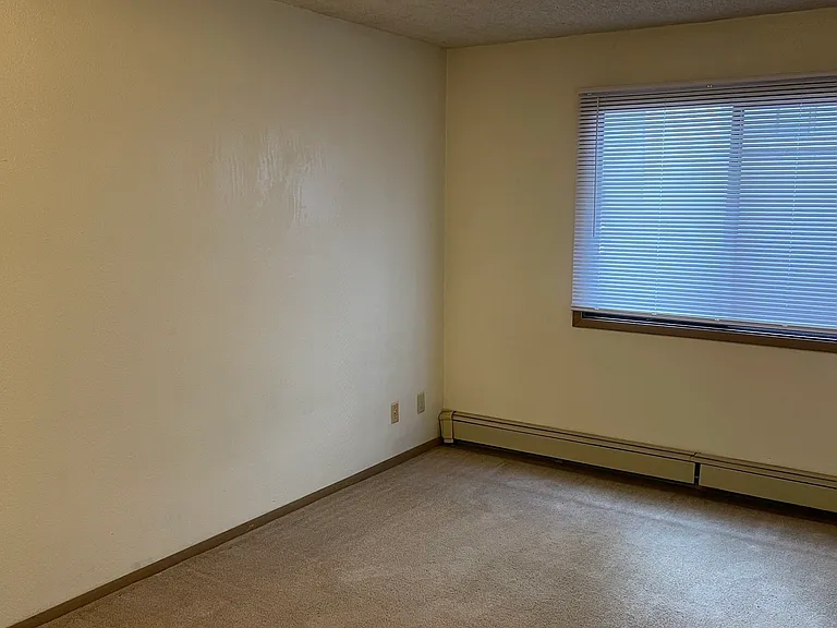 932 E Washington St #1S — Photo 11