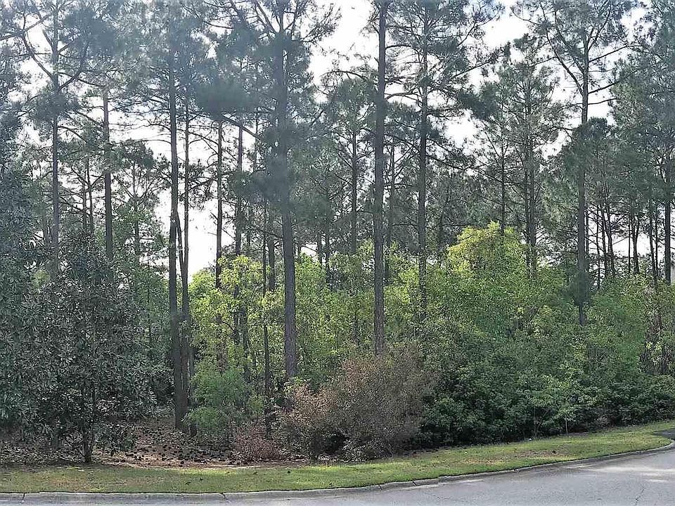 2nd image of 109 Tea Olive Rd
