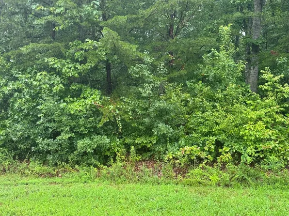 0 Lhasa Apso Ln, Iron Station, NC 28080