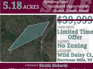 Wild Daisy Ct, Hurricane mills, TN 37078