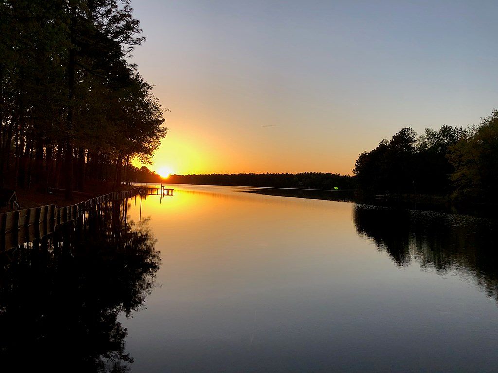 125 Edisto Lake Rd, Wagener, SC 29164 Zillow