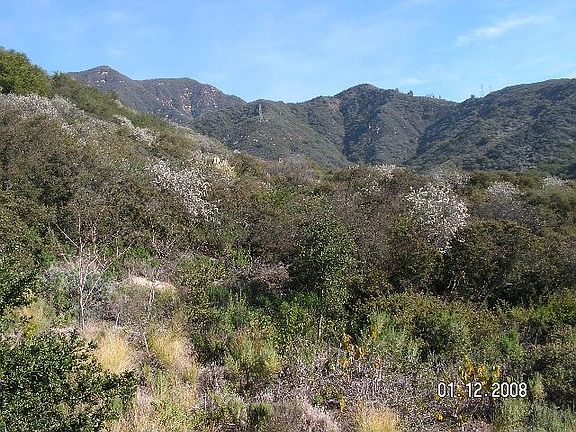 Mountain view to north