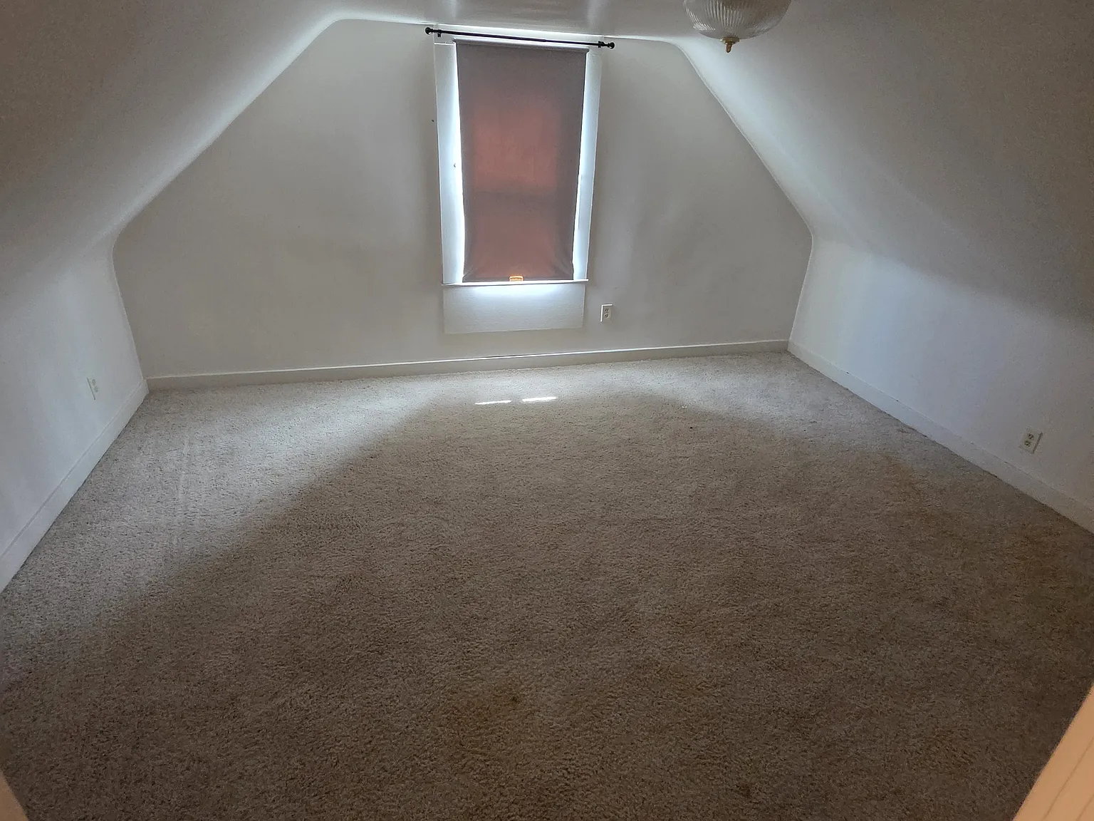 1 bed, $800 — Photo 4