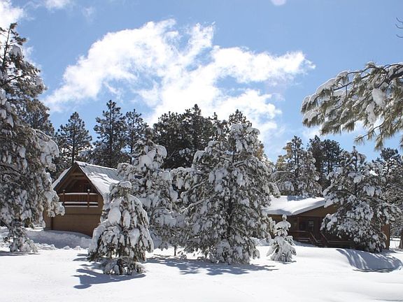 Winterwonderland!