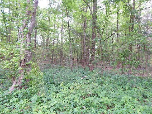 2nd image of Woodchuck Rd