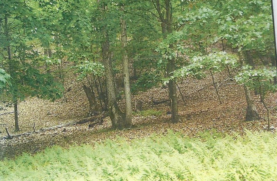 2nd image of Parcel# 07-13-17-4