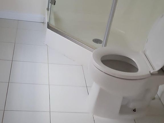 4th image of 266 S Lexington Ave #19