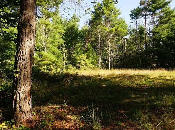 N9105 Flood -- Lot 5 Road, Black River Falls, WI 54615