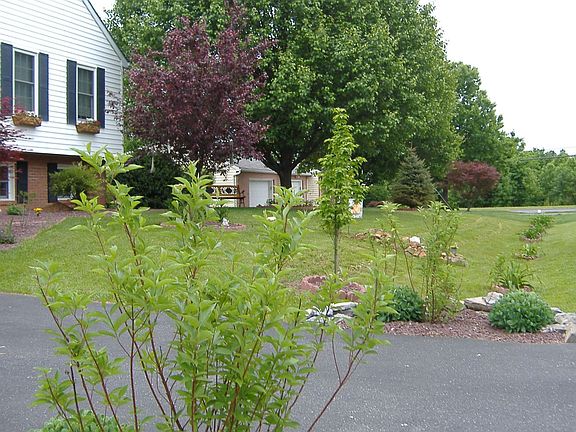 Spring 2006 sideview