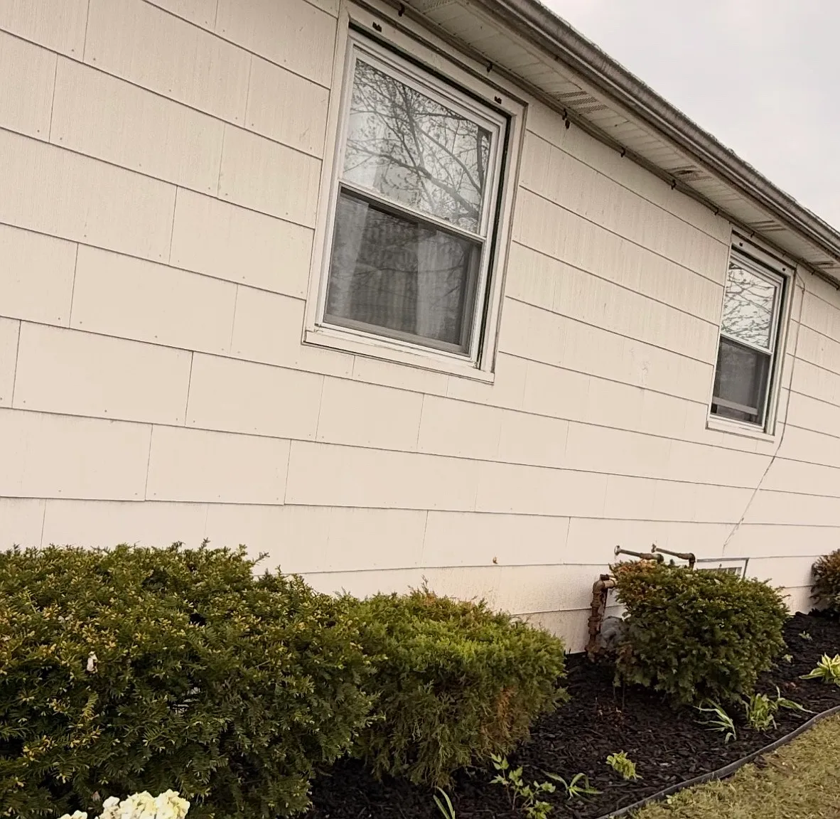 Pendlewood Dr, Buffalo — Photo 3