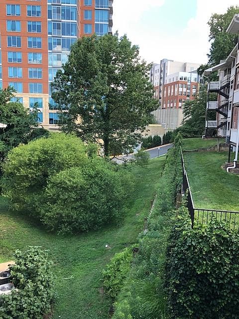 Balcony View 2