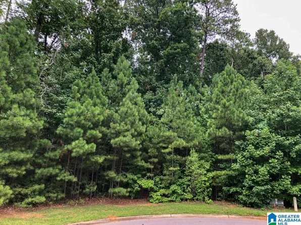 1091 Stagg Run Trl, Indian Springs, AL 35124