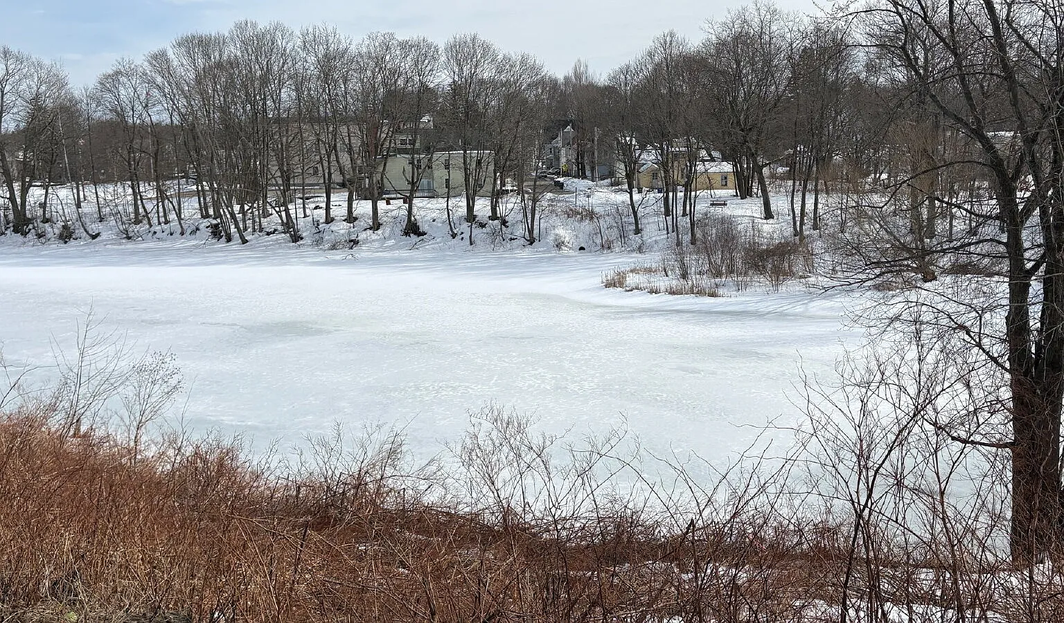 3 bed, 1.0 bath, $2,650 — Photo 3