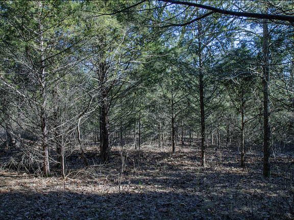 3rd image of 0 County Road 19