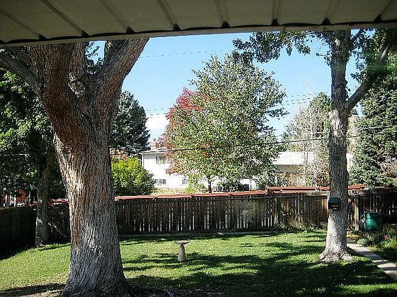 Large fenced back yard with shade trees