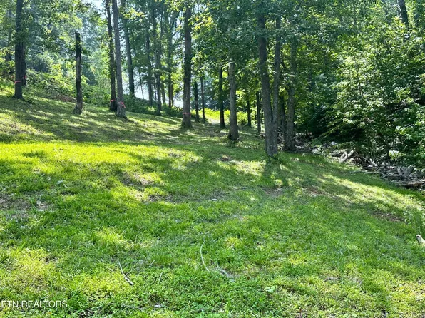 534 Bonnevista Dr #13, White Pine, TN 37890