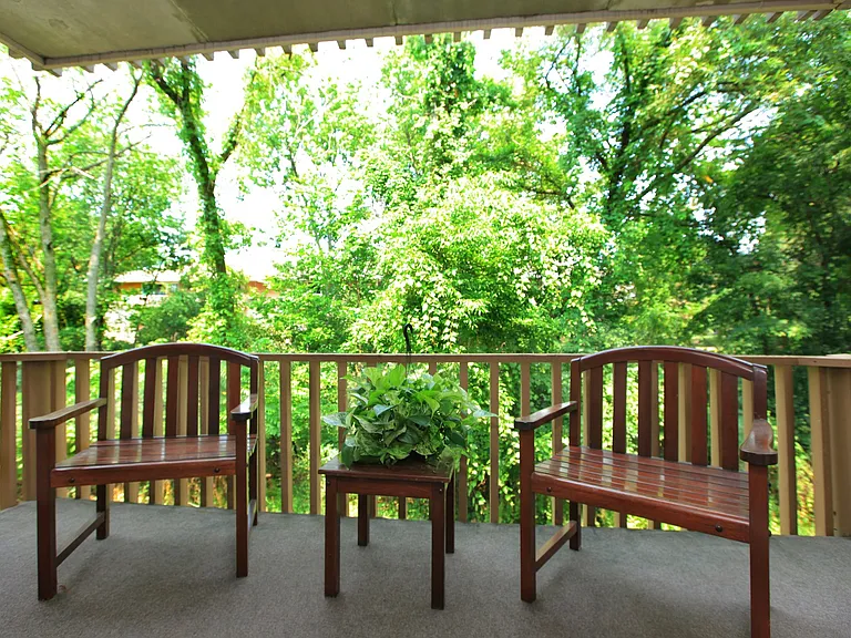 Warren Wood — Photo 20