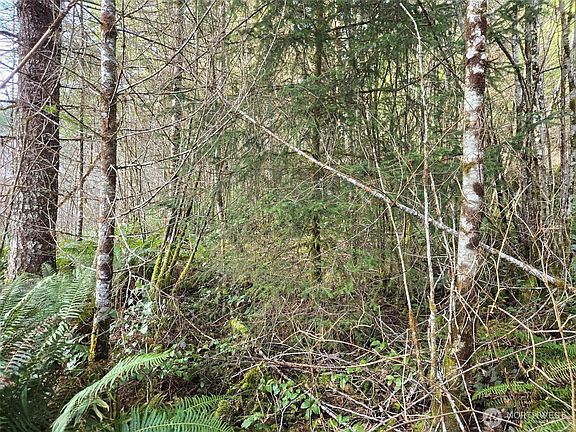 5th image of 0 End of Workman Creek Road