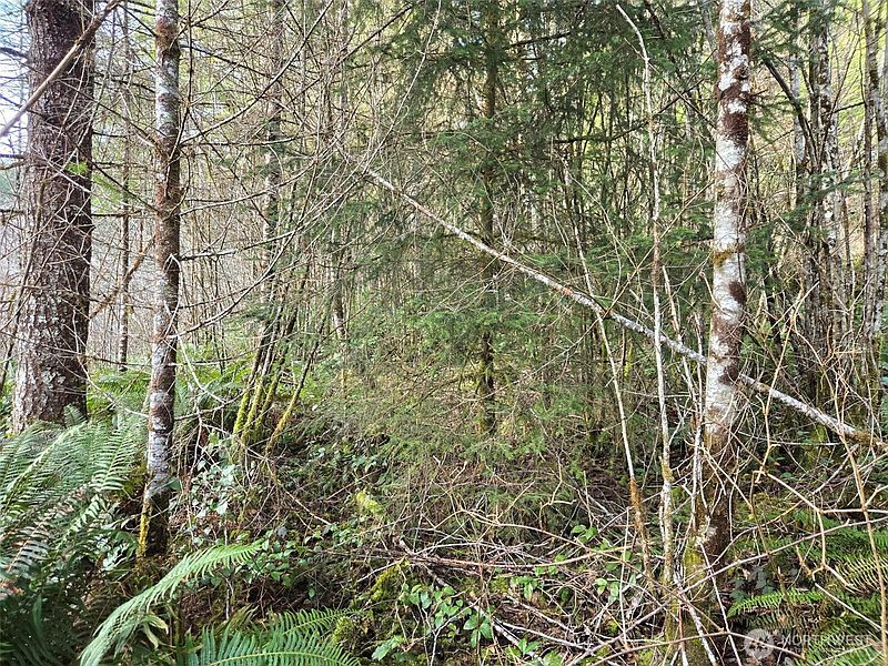 5th image of 0 End of Workman Creek Road