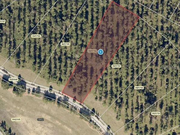 17050 Medici Way #318, Montverde, FL 34756