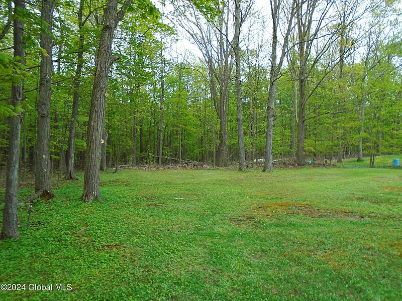 5th image of 162 Beechwood Road