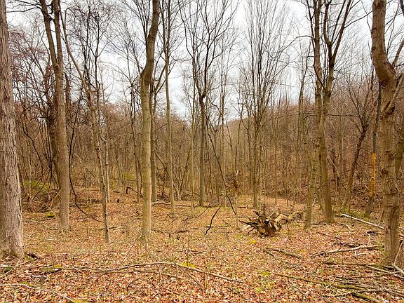 4th image of 0 Turkey Ridge Rd