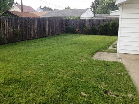 BACKYARD06.25.2013 075