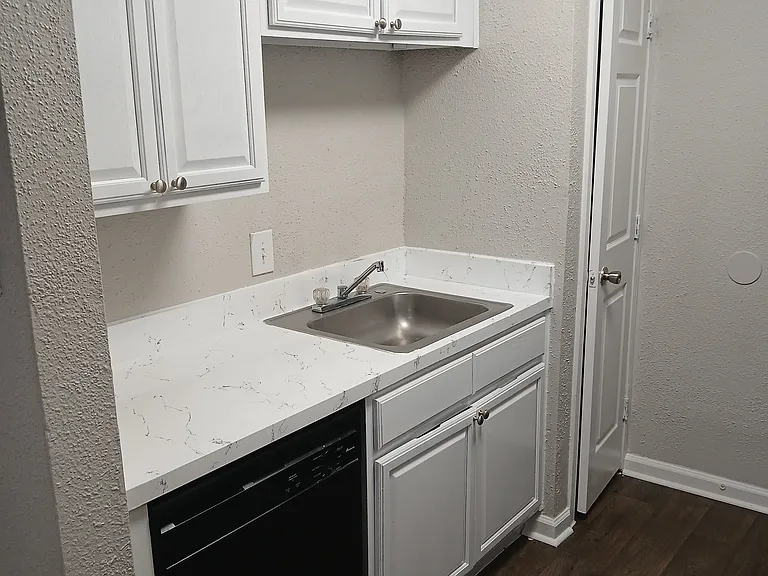 Kitchen Area with Pantry and Dishwasher