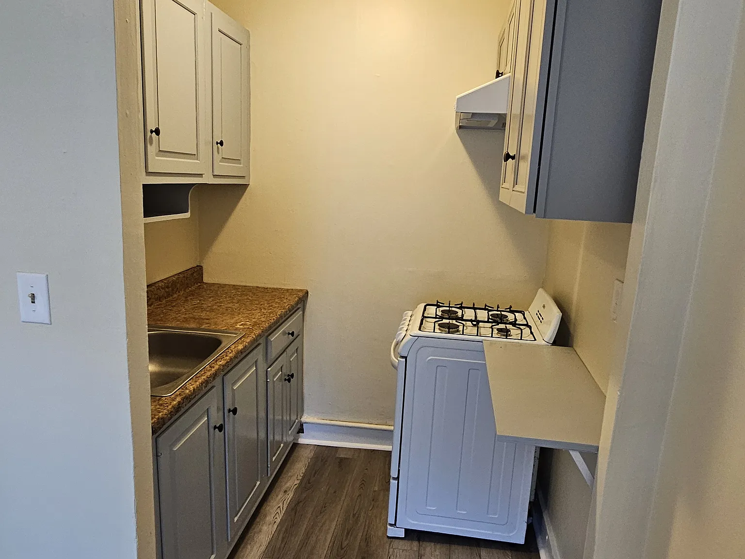 1 bed, 400 sqft, $1,350 — Photo 3