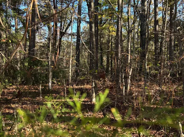 151 Woodrun Cir #151, Middleton, TN 38052