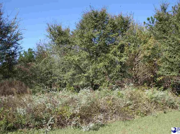 5755 Rooster Cir, Pinewood, SC 29125