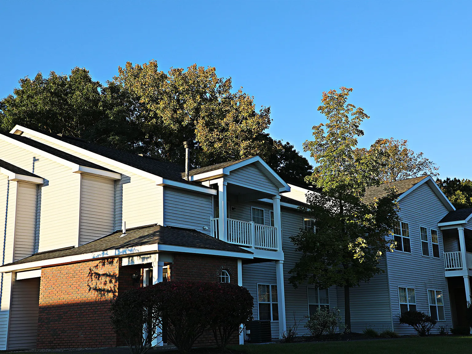 The Woodlands — Photo 4