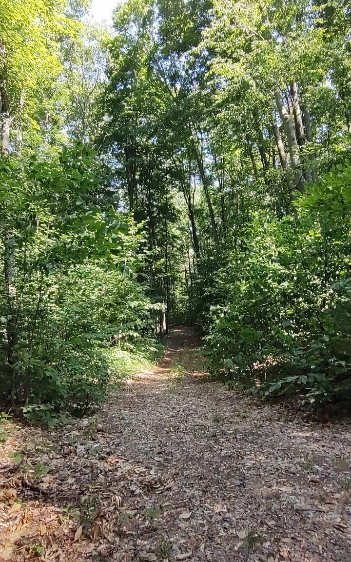 21 Vl Trl, Mancelona, MI 49659 Zillow