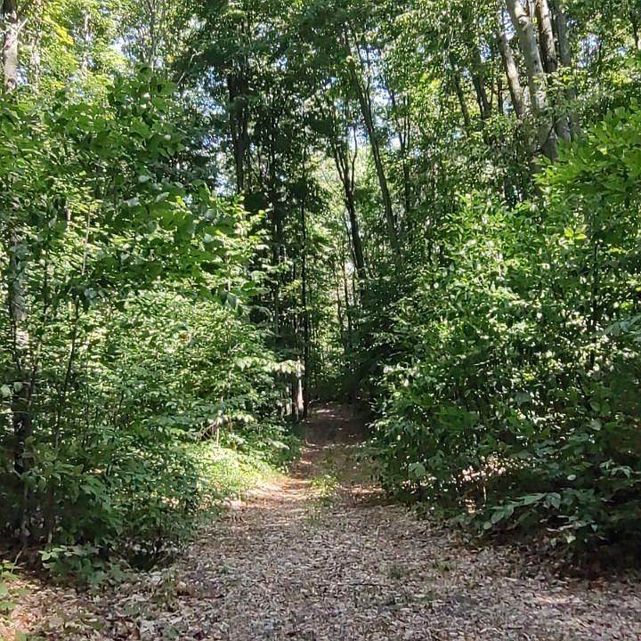 21 Vl Trl, Mancelona, MI 49659 Zillow