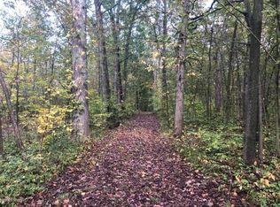 Wellman Rd, Parma, MI 49269