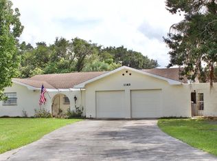 1385 N Lyndell Dr, Kissimmee, FL 34741