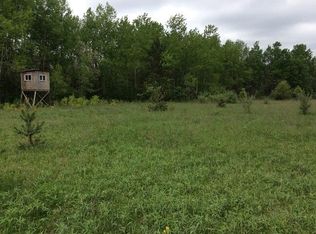 18025 W Almy Rd, Howard City, MI 49329