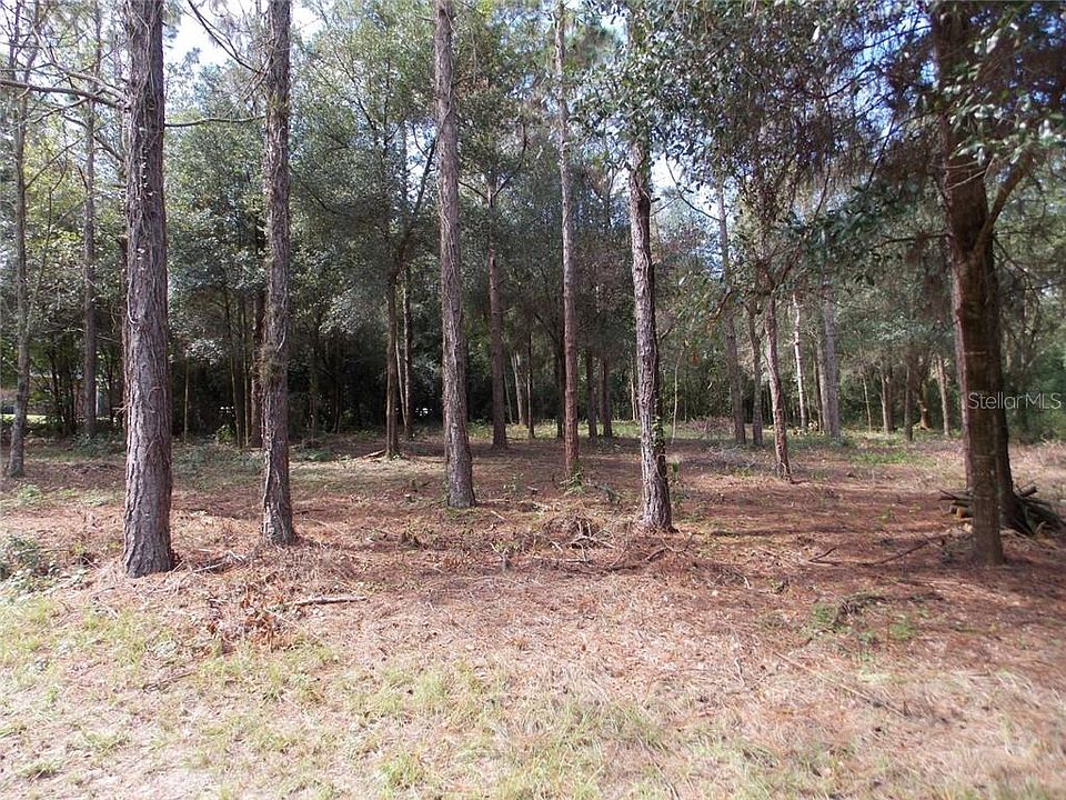 1st image of Pine Leaf Ln