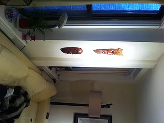 Rented by Landmark Resources