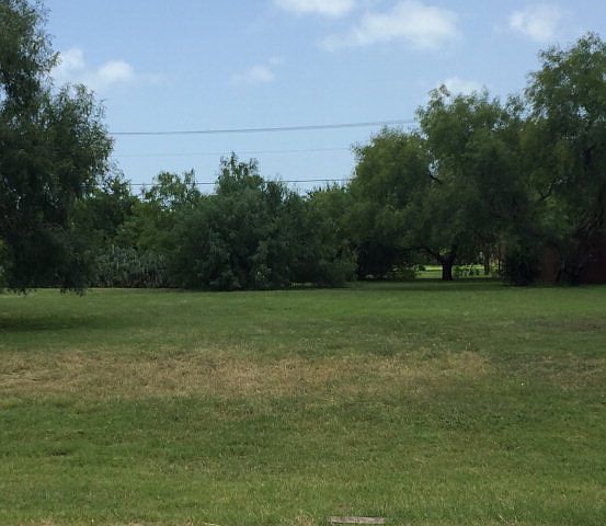 2nd image of Palm Blvd. #3